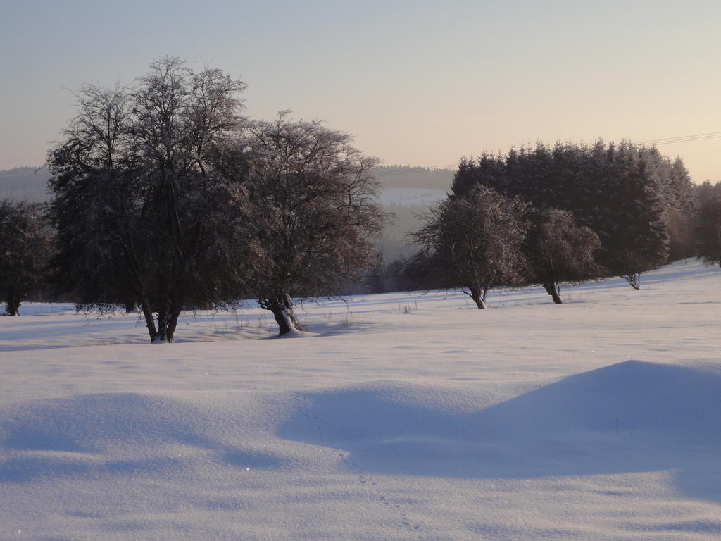 Gite Des Evets La-Roche-en-Ardenne Kültér fotó