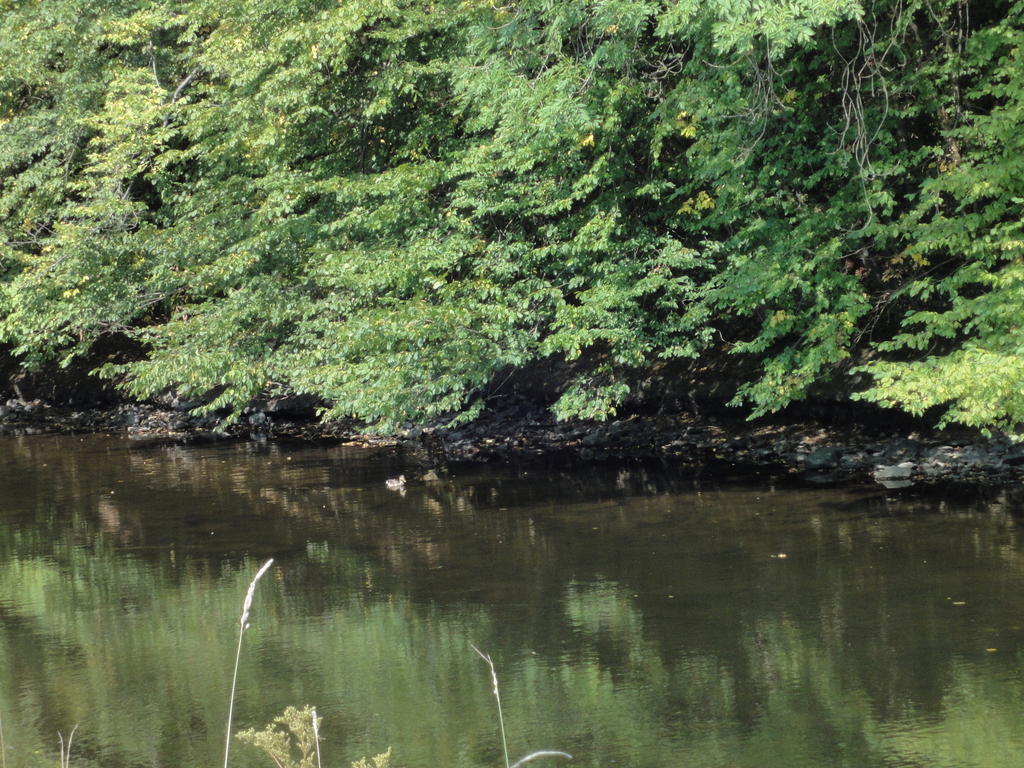 Gite Des Evets La-Roche-en-Ardenne Kültér fotó