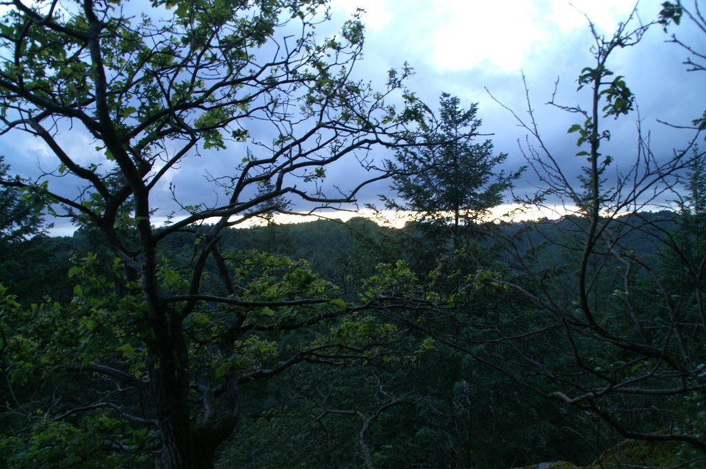 Gite Des Evets La-Roche-en-Ardenne Kültér fotó